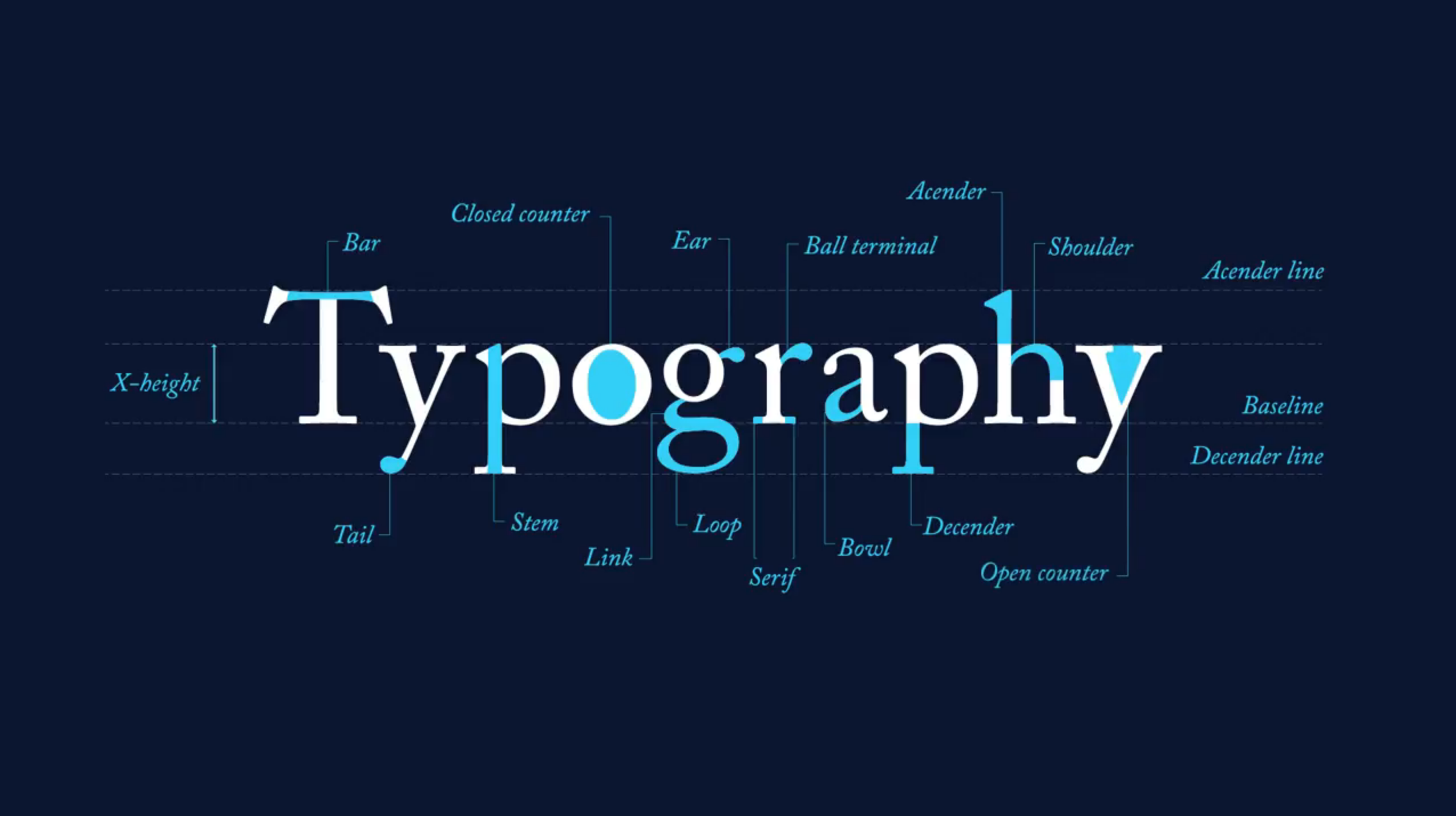 Typography Trends in Advertising and Design